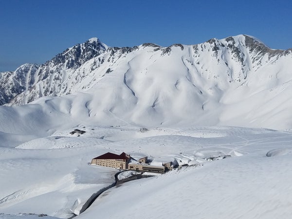 【静岡県内発】 雪の大谷ウォーク!立山黒部アルペンルート通り抜けと天下第一の桜・高遠城址公園 マイカーではなかなか出来ないアルペンルート完全通り抜け!2日間3